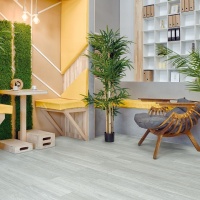 Image of the GRAND SEQUOIA SAGANO