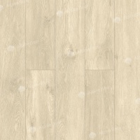 Image of the GRAND SEQUOIA of SONOMA