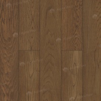 Image of the Oak of Tobacco