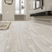 Image of Acacia CLICK