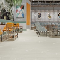 Image of the Winter Forest