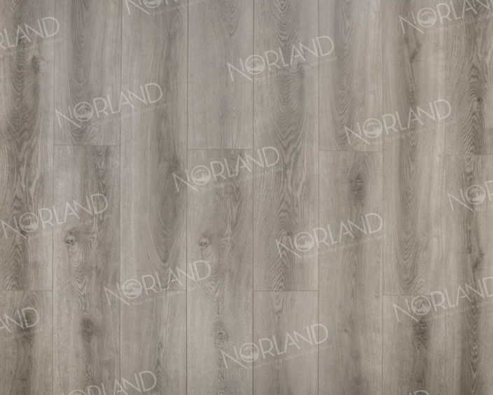 Renaelva Renaelva Image