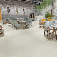 Image of the Winter Forest