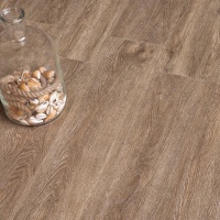 Image of the GRAND SEQUOIA OLIVE TREE