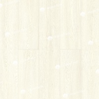 Image of the Winter Forest