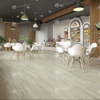 Image of the Maestro