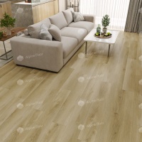 Image of the Bavarian Forest