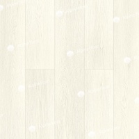 Image of the GRAND SEQUOIA SAGANO