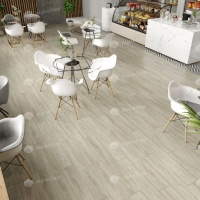 Image of the Maestro