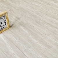 Image of the Blue Forest