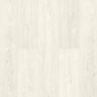 Image of the Arctic Oak