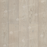 Image of the Mont Blanc Oak