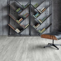 Image of the Snowy Sequoia