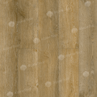 Image of the Imperial Oak