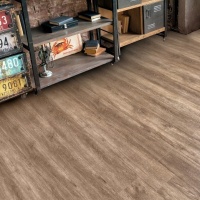 Image of the GRAND SEQUOIA OLIVE TREE