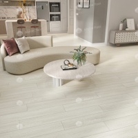 Image of the Norwegian Forest