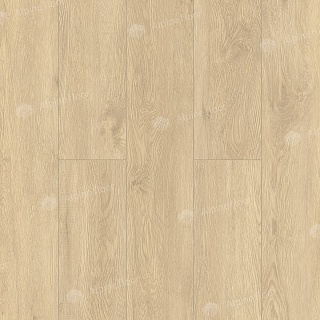tile SPC laminate GRAND SEQUOIA CAMPHOR