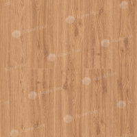 Image of Classic Oak