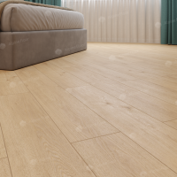 Image of the GRAND SEQUOIA ADENDRON