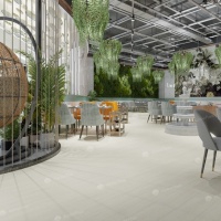 Image of the Winter Forest