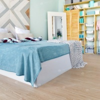 Image of Macau Ash Tree