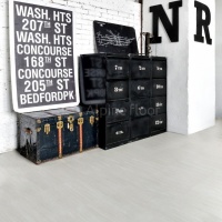 Image of the Moonstone