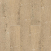 Image of Felice Oak ABA