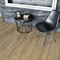 Image of the Brown Forest