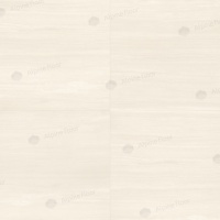 Image of the Moonstone