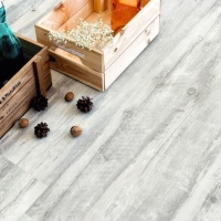 Image of Acacia CLICK