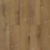 Image of the Sirius Oak ABA