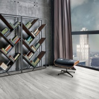 Image of the Snowy Sequoia