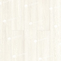 Image of the Canadian Forest