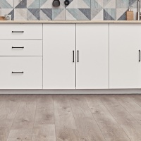 Image of the Northern History of the ABA