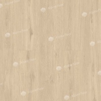 Image of Oak Vanilla