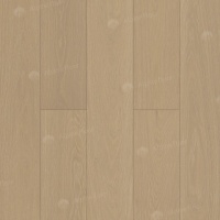 Image of the Champagne Oak