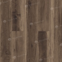 Image of A LIGHT WALNUT