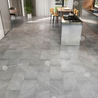 The image is a blind (without a background)