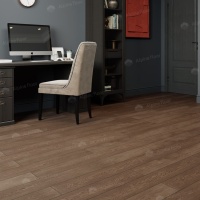 Image of the Terra Oak