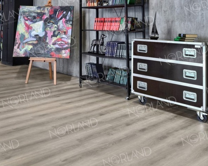 Renaelva Renaelva Image