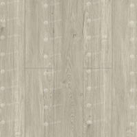 Image of the Snowy Sequoia