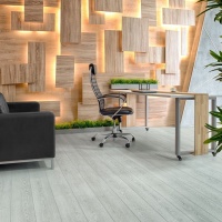 Image of the GRAND SEQUOIA INIO