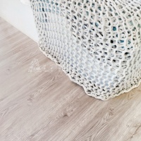 Image of Sequoia Light