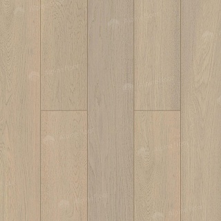 Image of Marzipan Oak