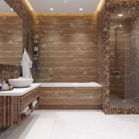 Image of the Smoky Forest