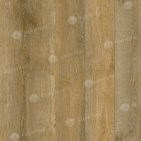 Image of the Imperial Oak