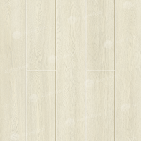 The image of the Ribbon