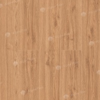 Image of Classic Oak