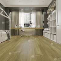 Image of a Beech tree