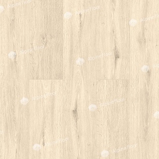 tile SPC laminate Oak Vanilla